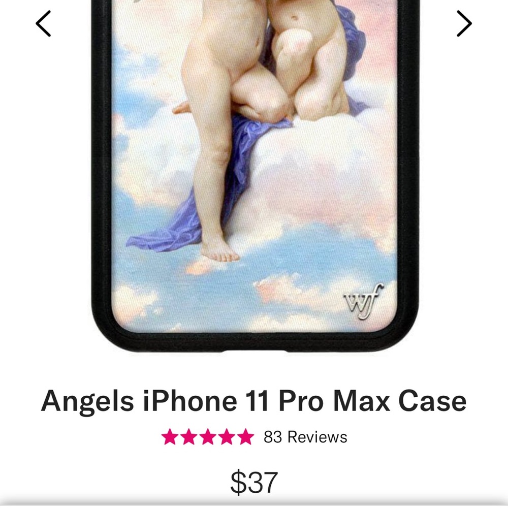Wildflower angels iPhone 11 Pro Max case